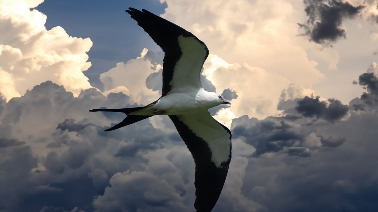 Richard Heinberg: Why 2% is the most dangerous number no one is talking about