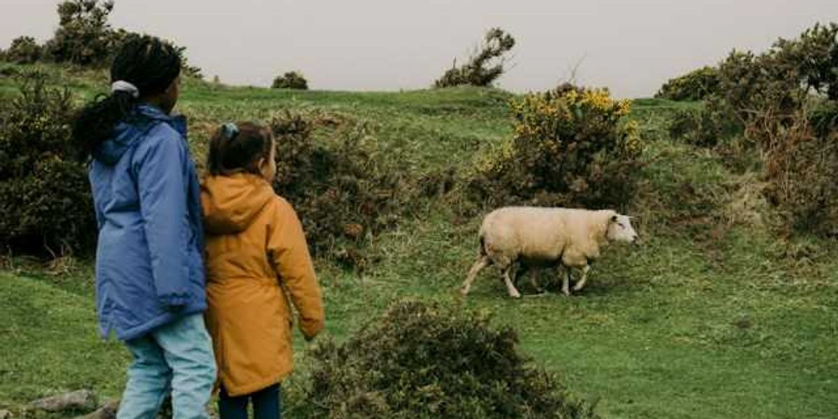 Opinion: Could climate change be a good news story for Irish…