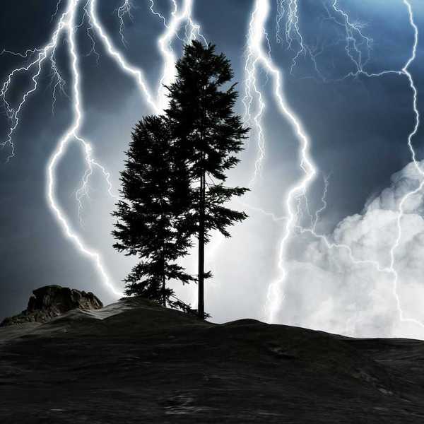 Two coniferous trees silhouetted against a lightning filled night sky