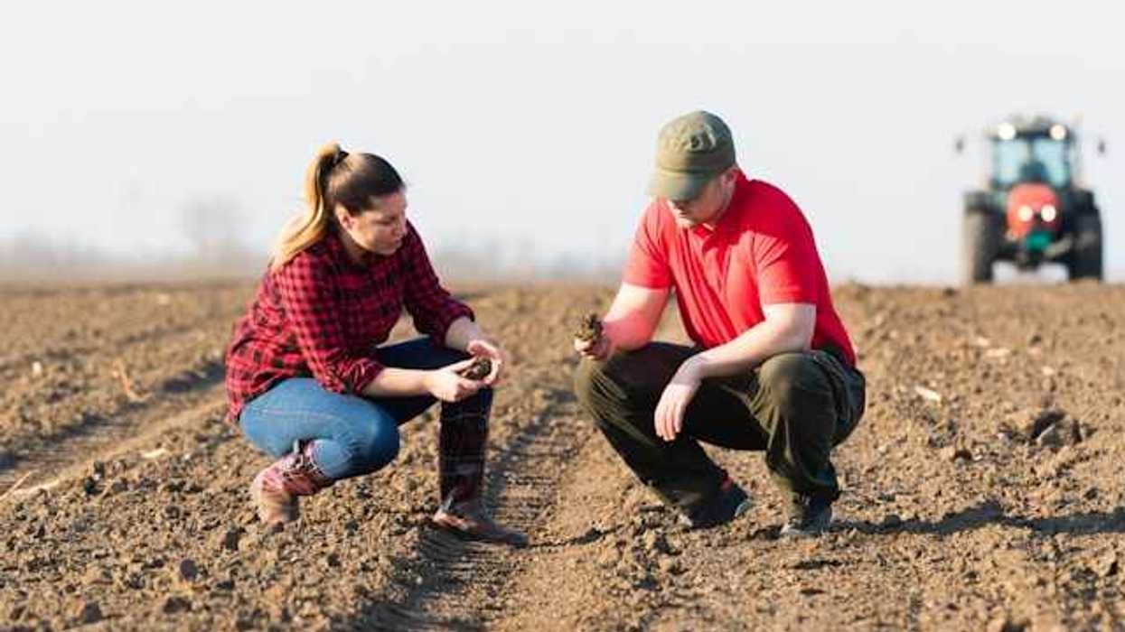 Two farmers crouching in a field reviewing the soil