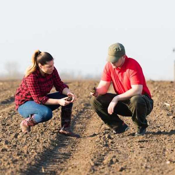 Two farmers crouching in a field reviewing the soil