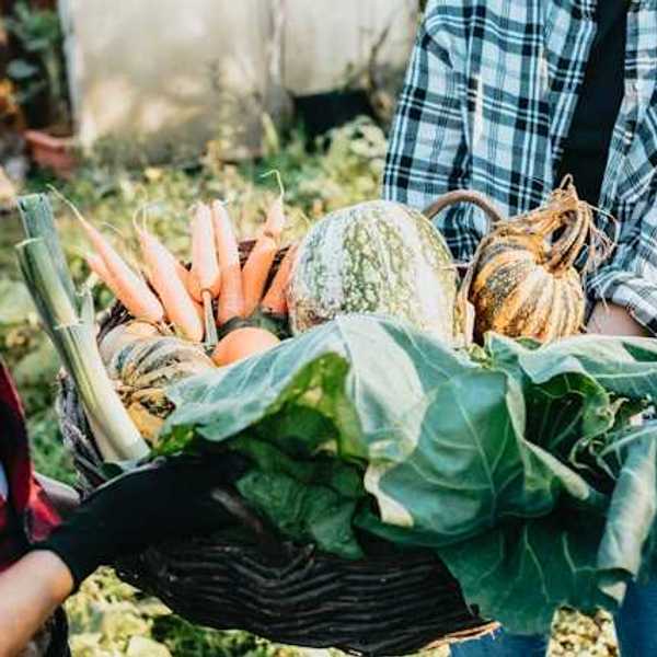 Two farmers holding a basket of vegetables between them