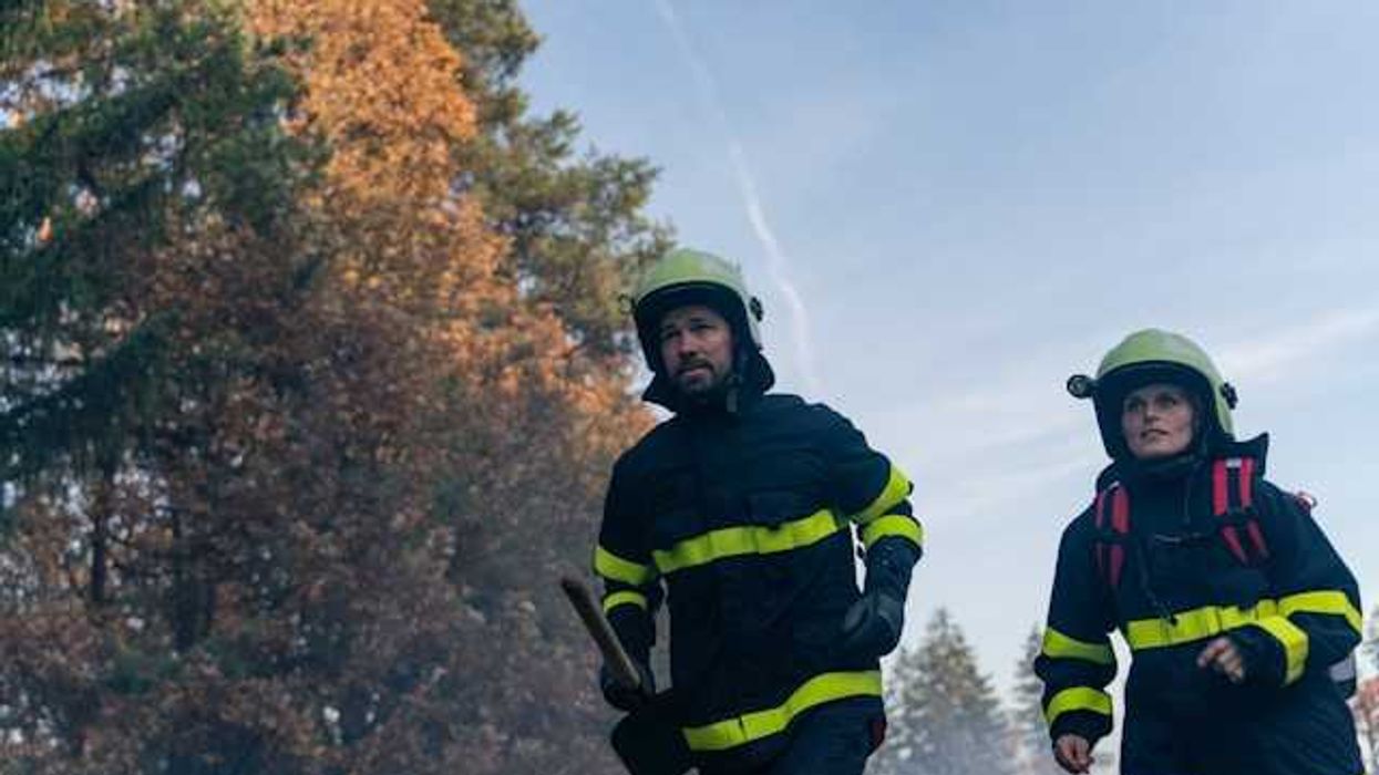 Two firefighters rushing past a forest on a sunny day