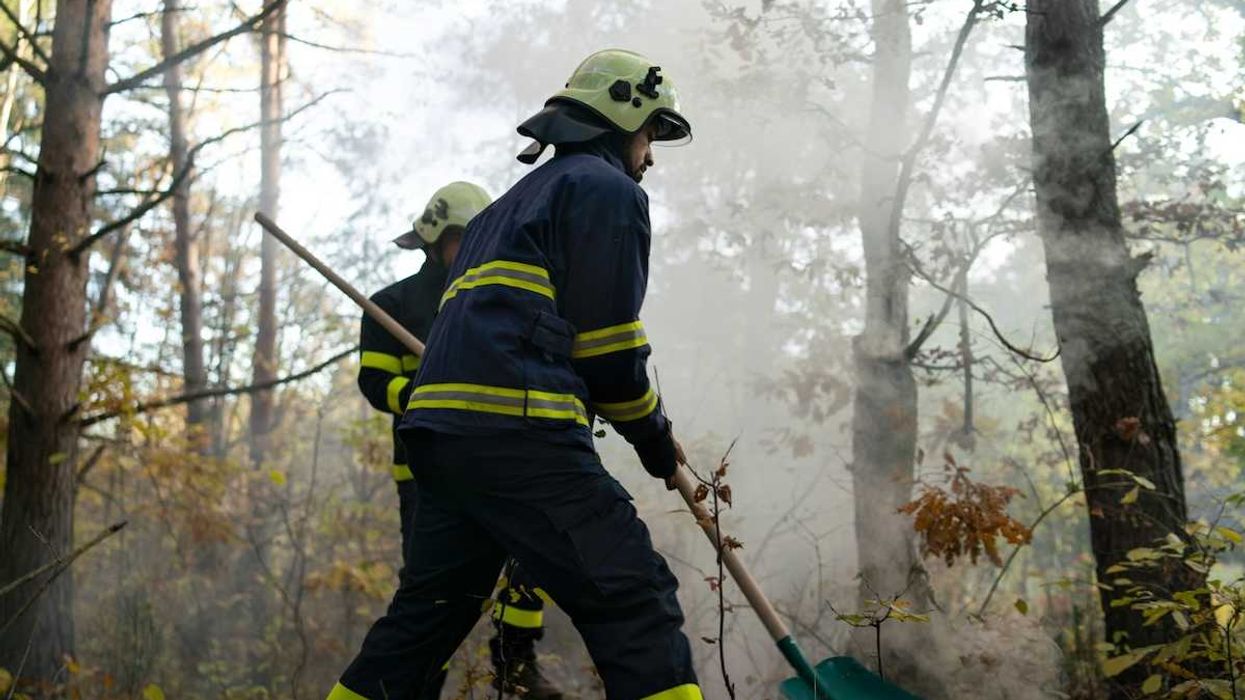 Two firefighters working a fire line