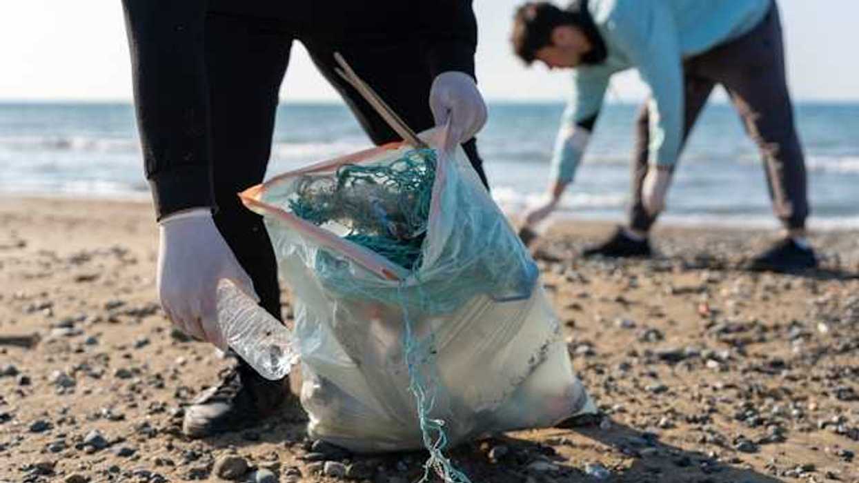 Two people picking up trash on the beach with gloves on