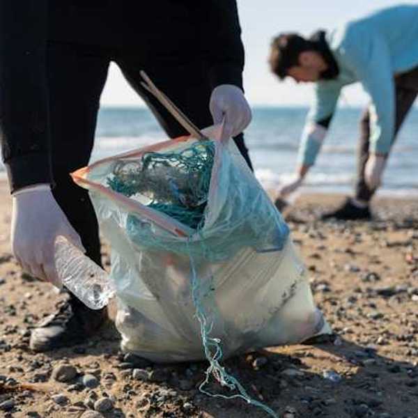 Two people picking up trash on the beach with gloves on