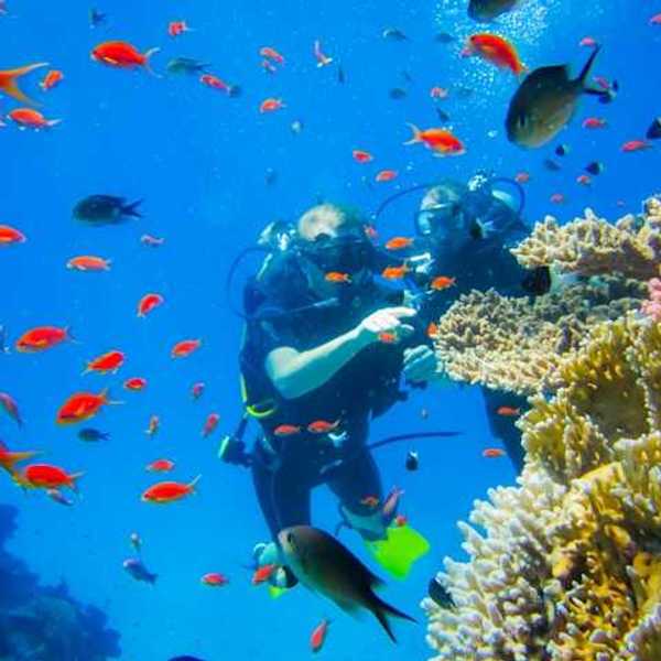 Two scuba divers looking at coral in the ocean