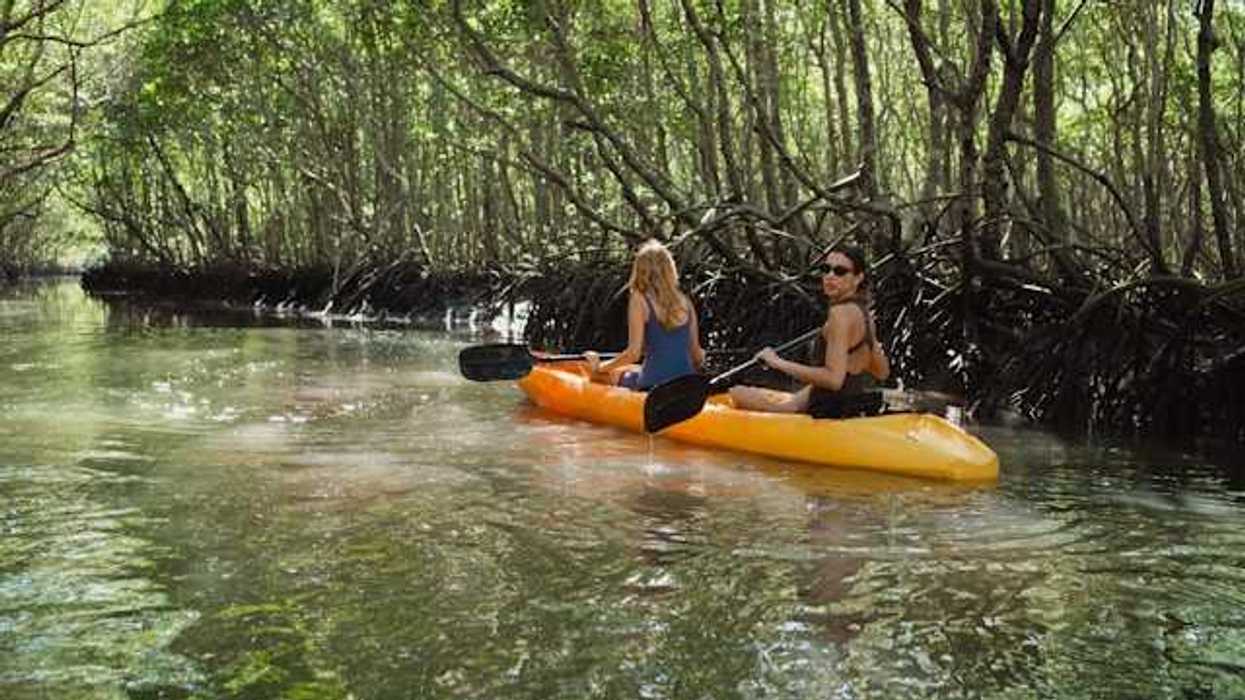 Two women in a kayak floating through a mangrove forest