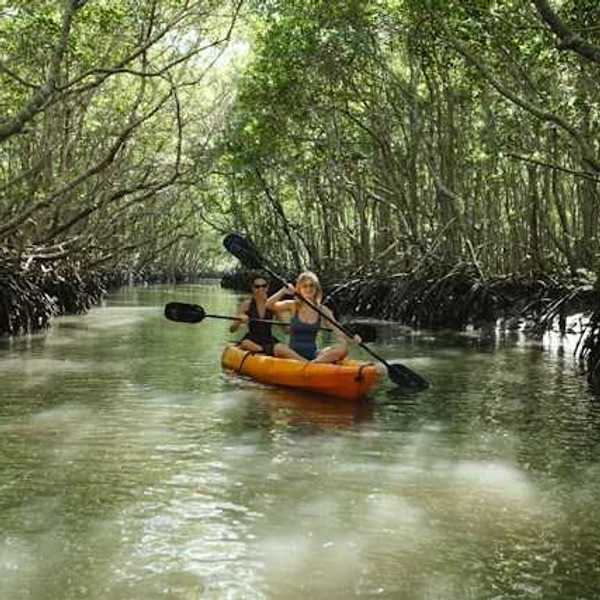 Two women kayaking through a mangrove forest