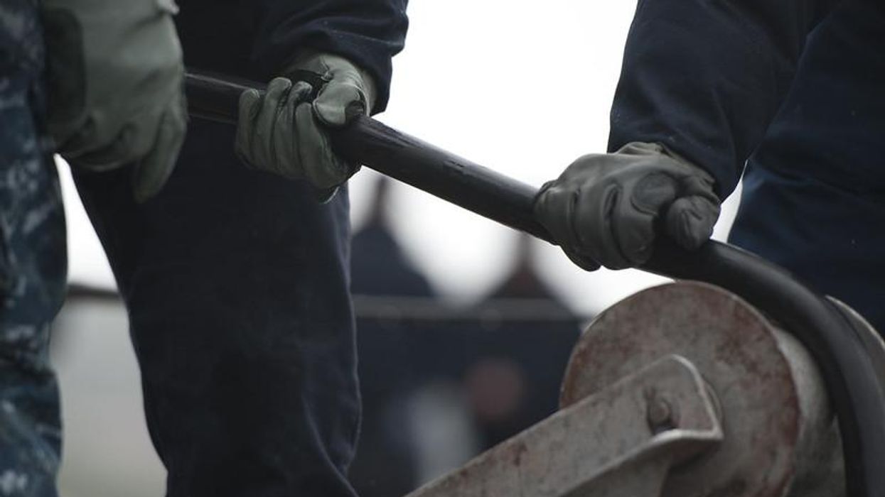 undersea cables may affect marine life