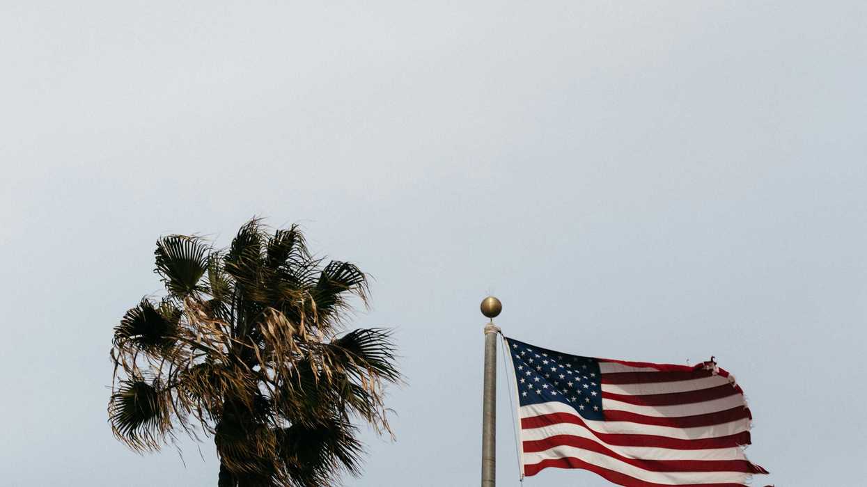 US flag and California state flag flying on a single flag pole next to a palm tree.