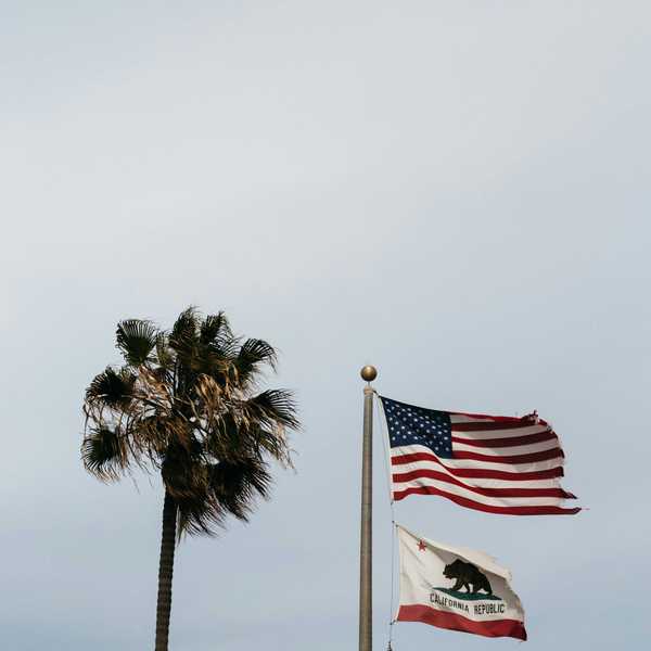 US flag and California state flag flying on a single flag pole next to a palm tree.