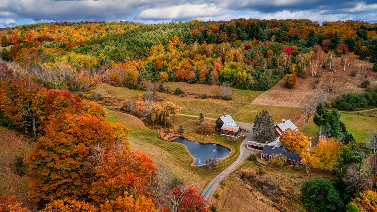 vermont fall foliage farm