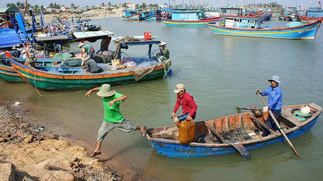 Vietnamese fishing boats clustered in the water