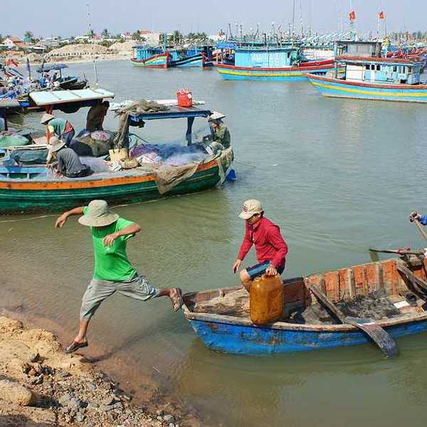 Vietnamese fishing boats clustered in the water