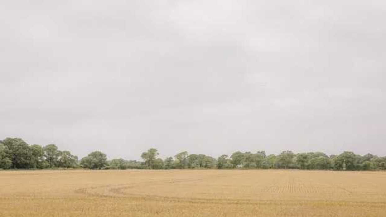 View of a beige farm field with green trees in the background