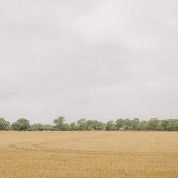 View of a beige farm field with green trees in the background