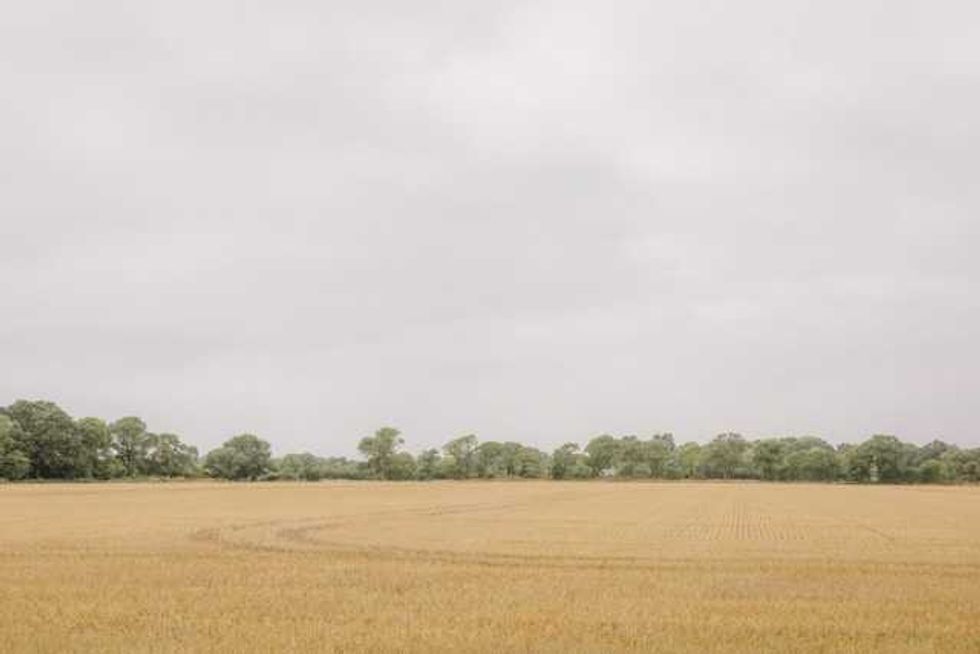 As Europe bakes, momentum grows for climate-resilient farming