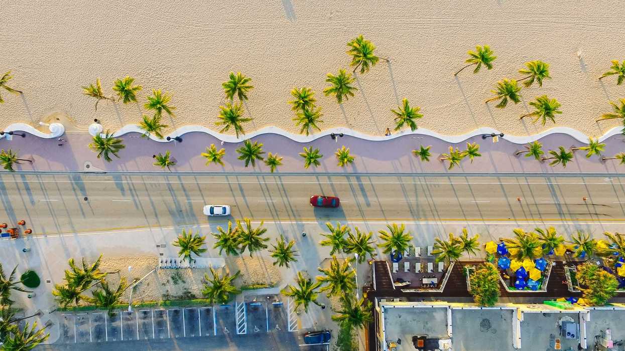 View of the beach and palm trees from above