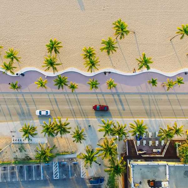 View of the beach and palm trees from above