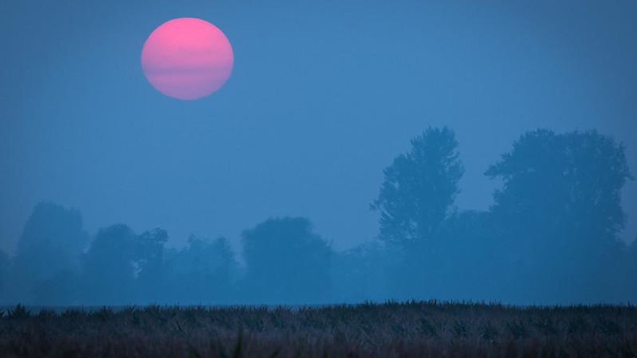 Washington state hired a climate epidemiologist