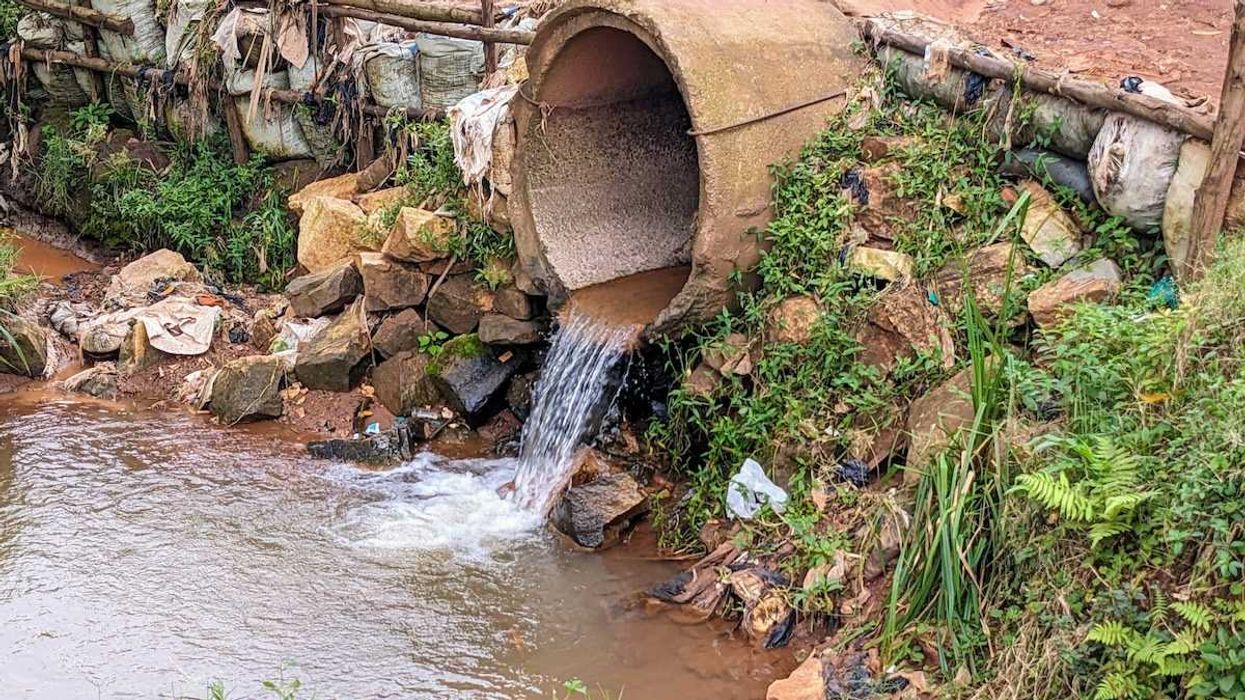 Potomac River tops list of most endangered in the U.S.