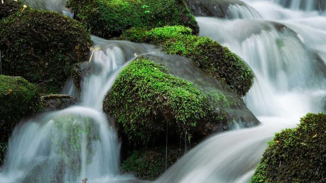 Water flowing over mossy rocks