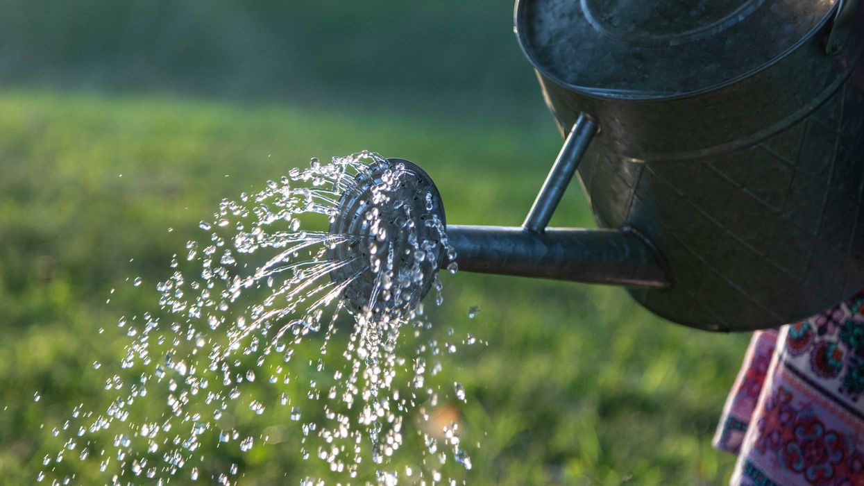 water pouring on gray steel watering can