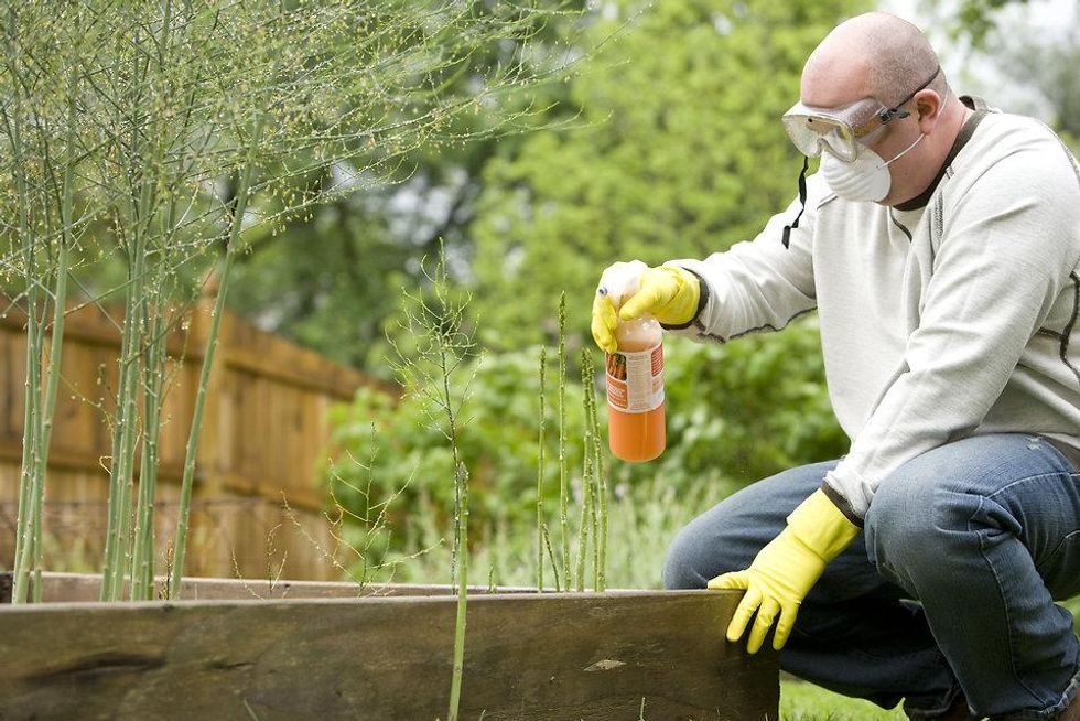 weedkiller spray man garden pesticide