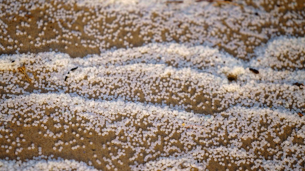 white plastic pellets (nurdles) washed up on sand