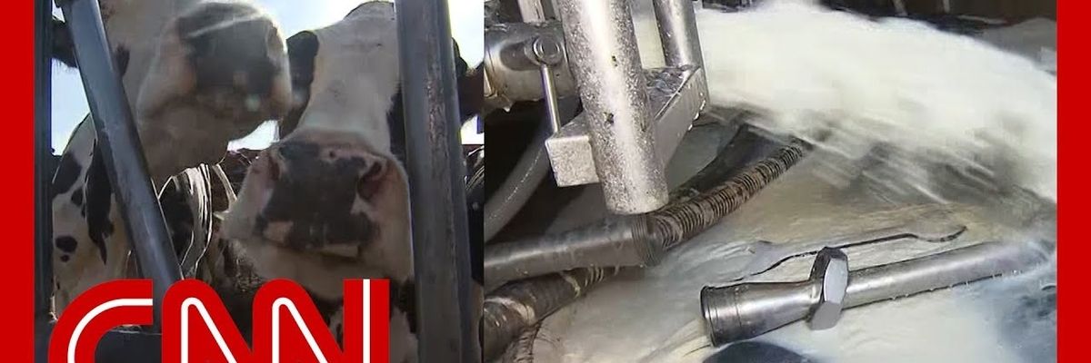 Peter Dykstra: Is CNN back in the game?