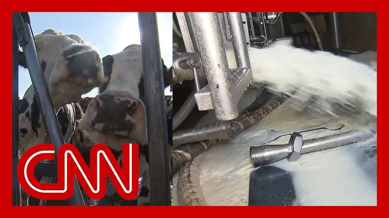 Peter Dykstra: Is CNN back in the game?