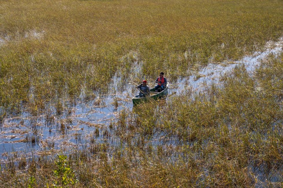 wild rice tribes minnesota line 3 pipeline
