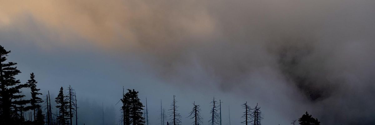 Wildfire smoke deaths