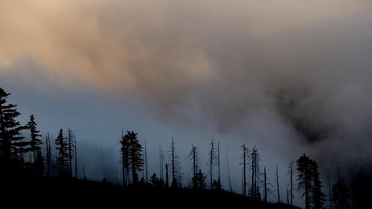Wildfire smoke deaths