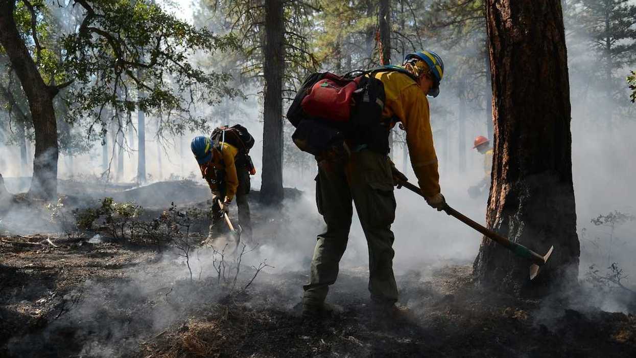 Wildland firefighters managing a controlled burn