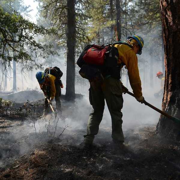 Wildland firefighters managing a controlled burn