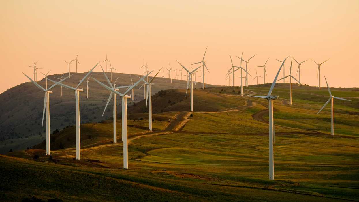 Wind turbines on green hillside under white sky during daytime.