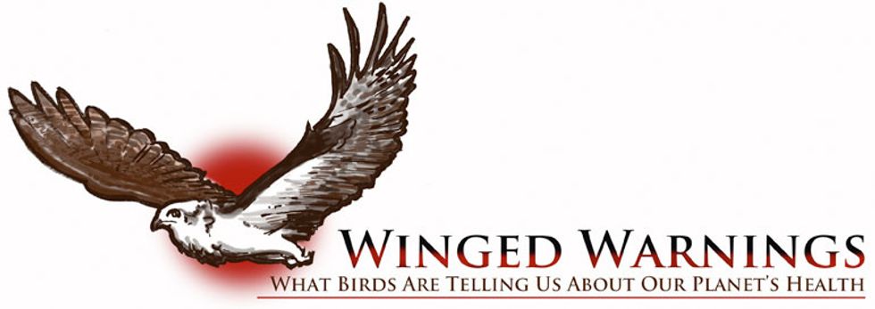 Winged Warnings: New generation