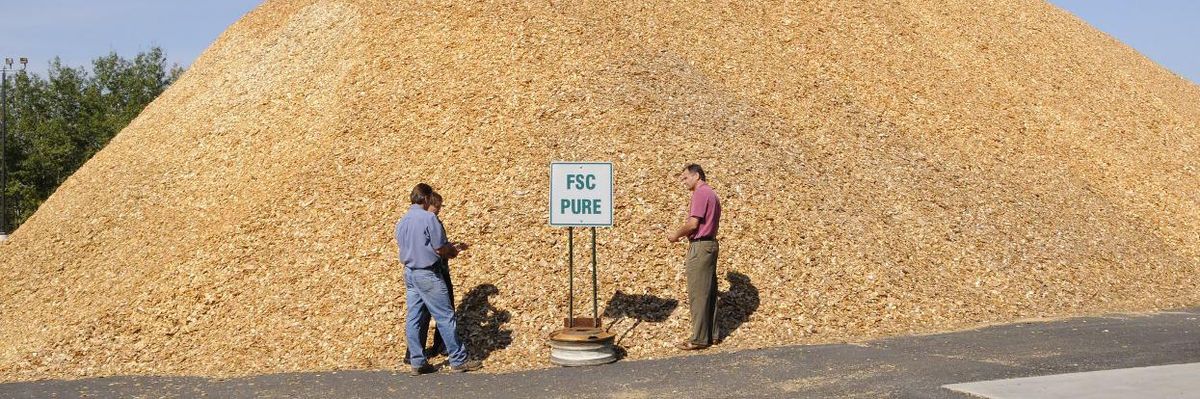 Wood pellet manufacturing plant