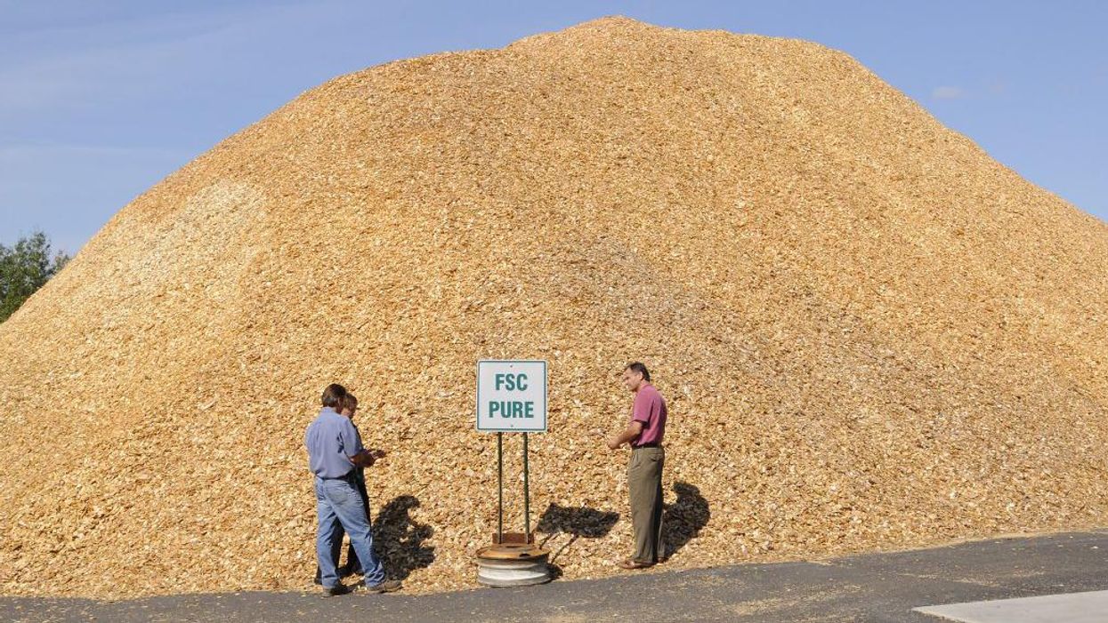 Wood pellet manufacturing plant