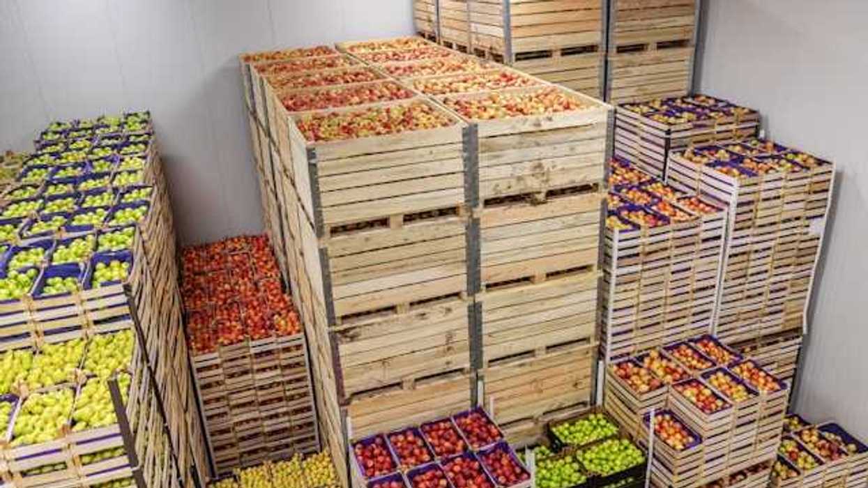 Wooden crates filled with fruits and vegetables