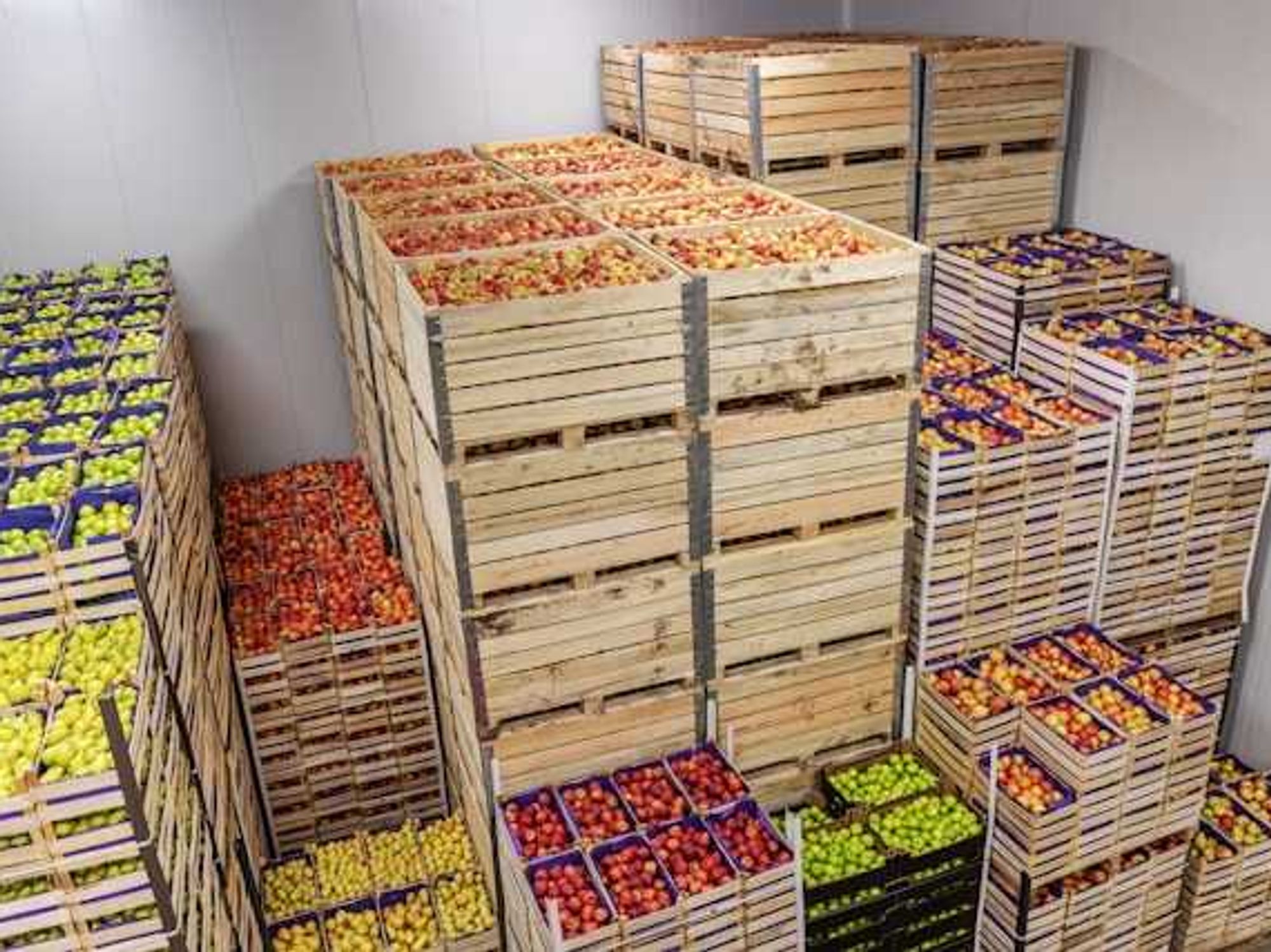 Poles ban food imports with pesticides to send message to Brussels