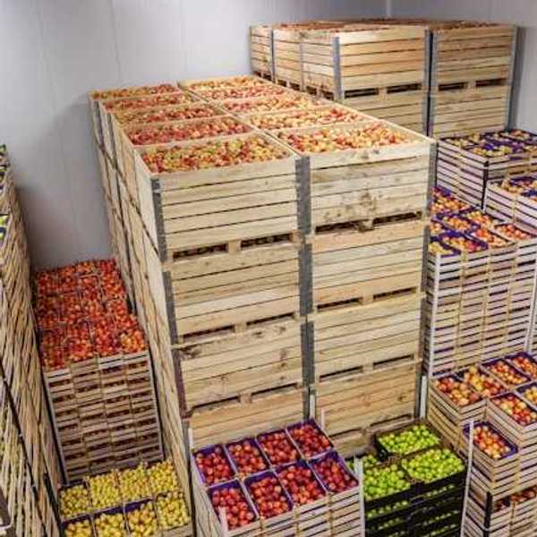 Wooden crates filled with fruits and vegetables
