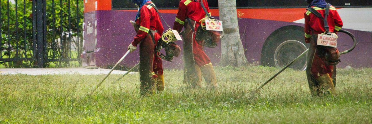 Workers apply pesticide in a field