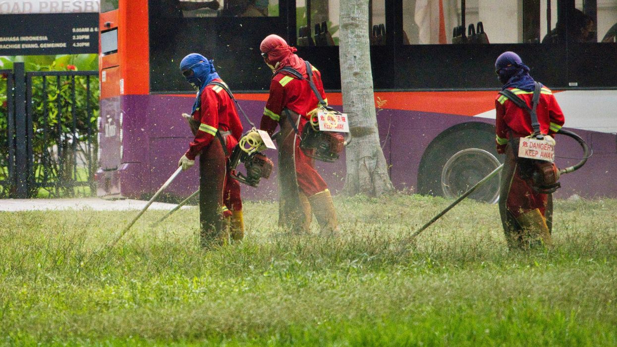Workers apply pesticide in a field