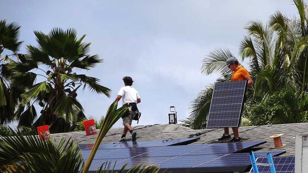 Workers installing solar panels on a roof with palm trees in the background