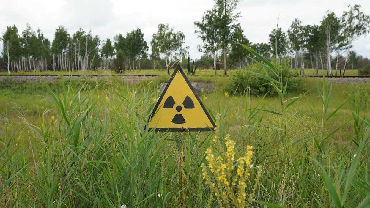 Yellow & black sign in grassy field with universal symbol warning of environmental contamination