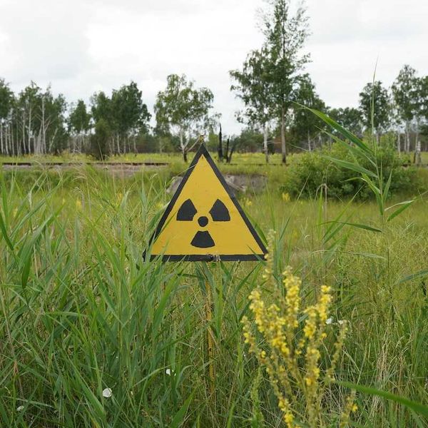 Yellow & black sign in grassy field with universal symbol warning of environmental contamination