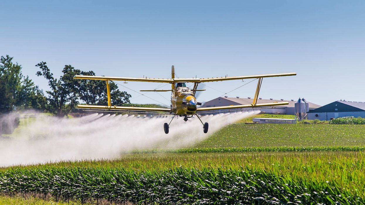 Yellow crop dusting plane spraying agrochemicals